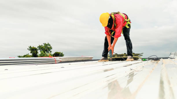 Best Skylight Installation and Repair  in Groton, SD